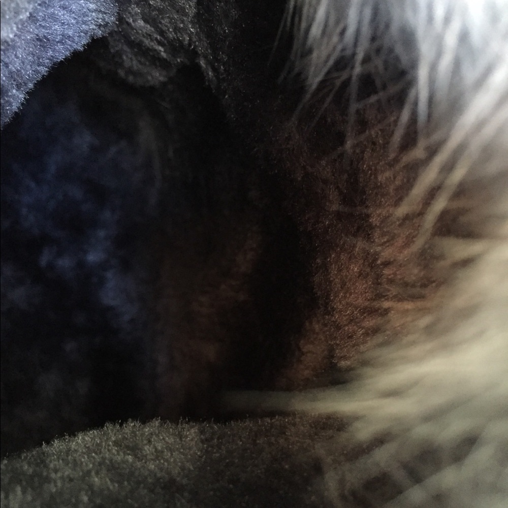 Gray Faux leather women boots - Picture 6 of 8